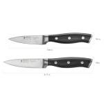 HENCKELS 2-Piece Razor-Sharp Paring Knife Set