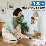 Portable 1L Handheld Steam Cleaner for Easy Cleaning
