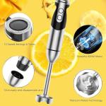 MegaWise 12-Speed Handheld Immersion Blender