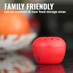 Fruit Fly Traps Indoor 4 Pack with Lure