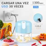 EasySpeed Mini Electric Garlic Chopper and Food Processor