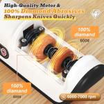 Cordless Electric Knife Sharpener with Diamond Stones