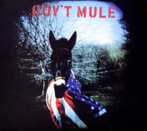 Gov't Mule Blender for Smoothies and More