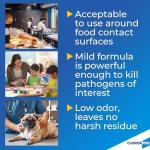 CloroxPro Daily Disinfectant and Sanitizer, 32 Oz