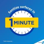 CloroxPro Daily Disinfectant and Sanitizer, 32 Oz