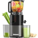 Slow Masticating Cold Press Juicer with Wide Feed