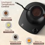 YDDZZM Smart Gooseneck Electric Kettle - 1000W