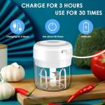 Electric Mini Garlic Chopper with Stainless Steel Blades