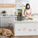 Cold Press Juicer with Wide Feed Chute