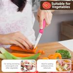 Colorful Stainless Steel Paring Knife Set of 6