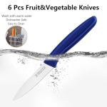 Colorful Stainless Steel Paring Knife Set of 6
