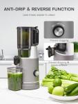Slow Masticating Juicer with Large Feed Chute