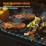 Portable 10,000 BTU Gas Grill for Outdoor Fun