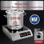 ChangBERT High Power Portable Induction Cooktop