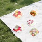 100 Clear Plastic Food Containers with Lids