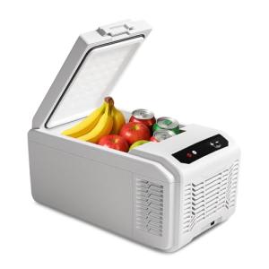 Erivess 12V Portable Refrigerator and Cooler