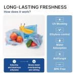 Freshpack 247 Large Reusable Food Storage Bags