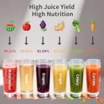 Mokero 6-Inch Cold Press Juicer for Whole Veggies