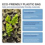 Freshpack 247 Large Reusable Food Storage Bags