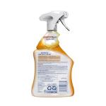 Lysol Pro Citrus Kitchen Cleaner Spray, 22oz