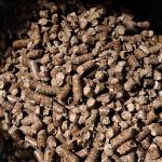 Hickory Wood Pellets for Grilling and Smoking