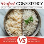 Gourmia 3 Qt Digital Rice Cooker and Steamer