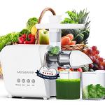 MegaWise Pro Slow Masticating Juicer with 95% Yield
