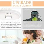 MegaWise Pro Slow Masticating Juicer with 95% Yield