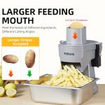 TERUISI 4-in-1 Electric Vegetable Chopper and Slicer