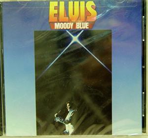 Moody Blue Kitchen Appliance Collection