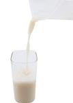 Versatile Food Strainer and Nut Milk Bag