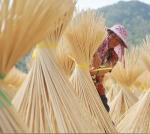 10 Inch Bamboo Skewers, 200 Pack for Grilling