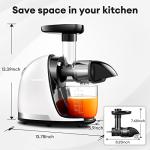 AMZCHEF Slow Masticating Juicer with Reverse Function