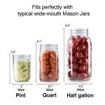Fermentation Glass Weights with Easy Grip Handle