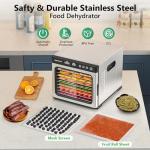 9-Tray Stainless Steel Food Dehydrator with Timer
