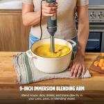 Ninja Handheld Immersion Blender with Whisk