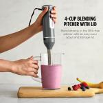 Ninja Handheld Immersion Blender with Whisk