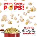 Whirley Pop 6-Quart Stovetop Popcorn Maker