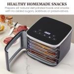 Elite Gourmet 5-Tray Food Dehydrator with Light
