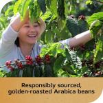 NESCAFÉ Gold Intense Instant Coffee, 3.5 oz