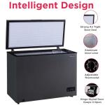 Frigidaire 10 Cu. Ft. Chest Deep Freezer