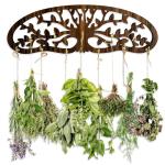 Wall-Mounted Herb Drying Rack - 11-Bouquet Holder