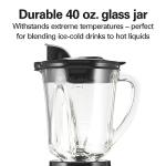 Hamilton Beach Blender and Food Processor Combo