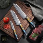 3PCS Kitchen Knife Set, Japanese Chef Knife Set with S35VN Powder Steel Core, Resin & Wood Handle, Ultra Sharp Knives Set for Meat, Vegetables, Fruits Ideal Gift