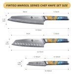 3PCS Kitchen Knife Set, Japanese Chef Knife Set with S35VN Powder Steel Core, Resin & Wood Handle, Ultra Sharp Knives Set for Meat, Vegetables, Fruits Ideal Gift