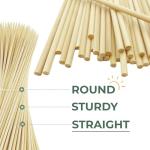 Bonsucee 10" Bamboo Skewers (100PCS) for Grilling, BBQ, Shish Kebobs, Fruit, Appetizers, Chocolate Fountains, Cocktail Picks, Picnic& Crafting, Φ=4mm, Optional Sizes 6"/8"/12"
