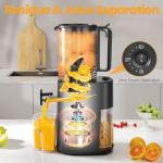Cold Press Juicer, 5.5inch Wide Feed Chute Juicer Machine, Slow Masticating Juicer for Whole Vegetables & Fruits, Gray