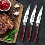 HOSHANHO Steak Knife Set 8 Pieces, 4.5 Inch Super Sharp High Carbon Stainless Steel Steak Knife Set, Professional Premium Serrated Precise Cutting with Ergonomic Wood Handle