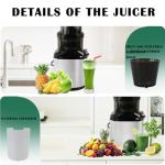 Cold Press Juicer, 5.5" Wide Feed Chute Juice Extractor Machine,High Juice Yield,Slow Masticating Juicer fit Whole Vegetables & Fruits Easy Clean for Batch Juicing BPA Free 800w motor