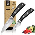 Paring Knife Set, 2PCS Small Kitchen Knives for Fruit, 3.8 Inch Fruit Knives and 2.75 Inch Bird Beak Peeling Knife, Premium Germany Stainless Steel Ergonomic Handle, Elegant Black Ideal for Gift